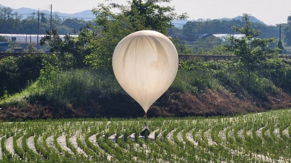 A balloon believed to have been sent by North Korea, carrying various objects including what appeared to be trash and excrement, is seen over a rice field at Cheorwon, South Korea, May 29, 2024