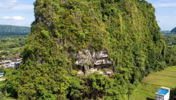 The paintings were found in the caves of Karampuang Hill in the Indonesian Island of South Sulawesi