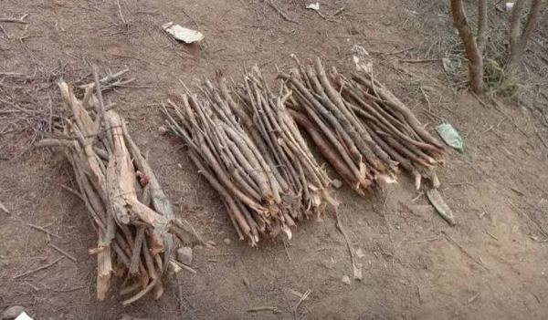 NCVC enforces strict prohibition on illegal firewood and charcoal production