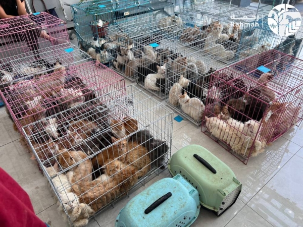 Riyadh launches campaign to ensure animal welfare and compliance in pet facilities