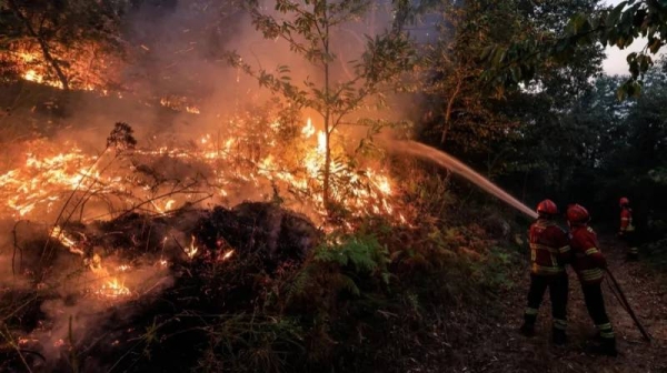 Firefighters at work during a forest fire in Bornes de Aguiar, Portugal