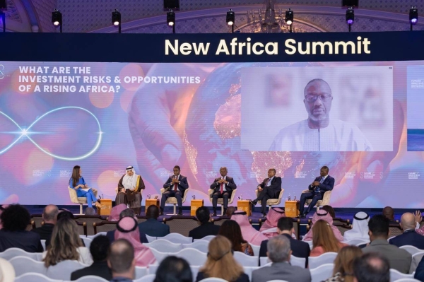 The summit discussed the pivotal role and impact of economic and investment organizations on social and economic development across the African continent.