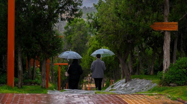 Rain in Al-Baha.