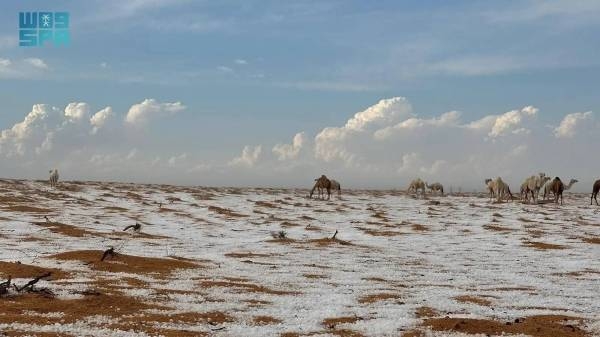 NMC: شهدت المملكة العربية السعودية أقوى موجة برد في عام 1992 حيث بلغت درجة الحرارة -9.3 درجة مئوية في حائل