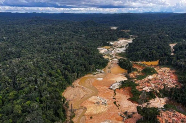 Drought, wildfires and deliberate deforestation have made the Amazon rainforest less able to absorb CO2