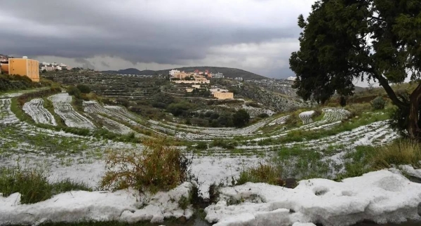 No signs of severe winter as Saudi Arabia enters final third of the season