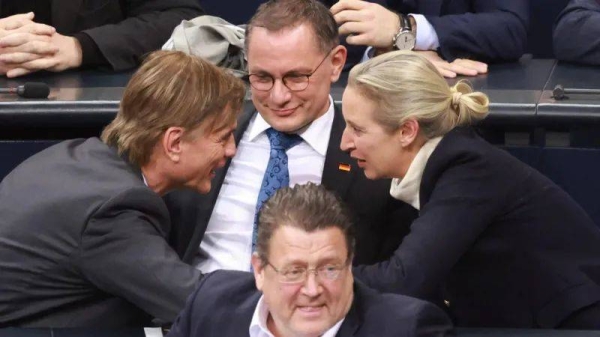 AfD leaders were jubilant after the vote