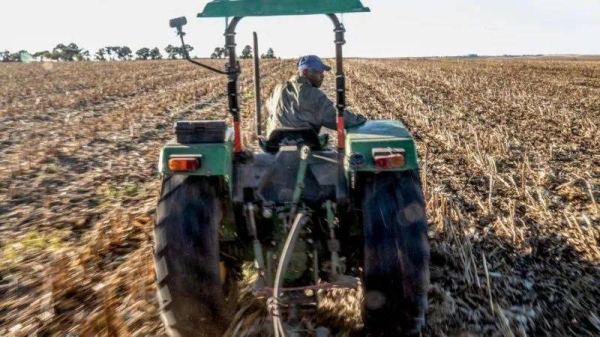 Black people only own a small proportion of South Africa's land