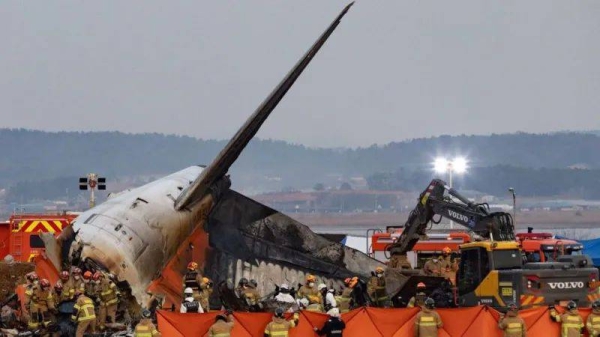 Investigators had earlier last week said they had found evidence of a bird strike on the Boeing 737-800 plane