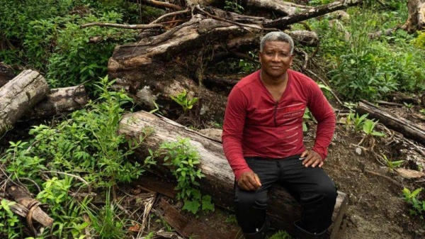 Amazon forest felled to build road for climate summit