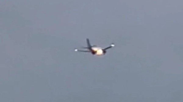A United Airlines Boeing 737-800 hit an animal on takeoff from Denver International Airport on Sunday, sending flames spewing from it's right engine