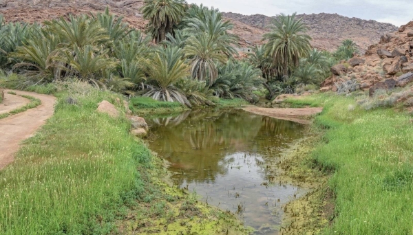 Aja and Salma Mountains offer breathtaking escape in the heart of Hail