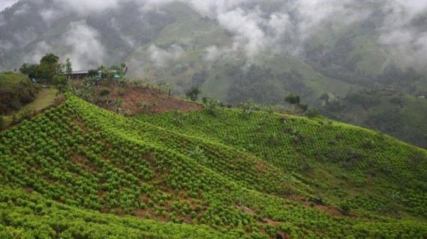 Dozens of soldiers seized in Colombian mountains