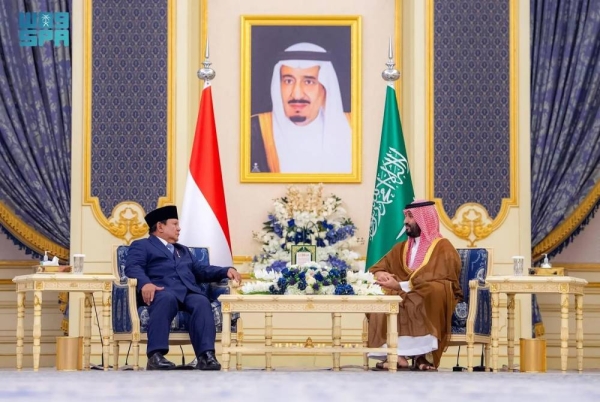 Saudi Arabia and Indonesia call for immediate end to Gaza catastrophe