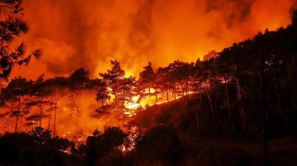 Smoke rises into the sky during a wildfire near the town of Rabia, 6 July, 2025
