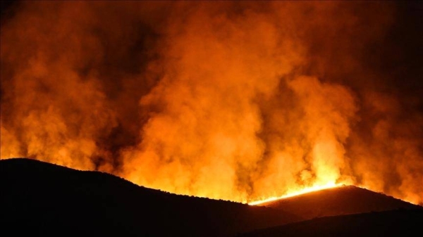 Evacuation orders eased as California firefighters gain ground on Canyon fire