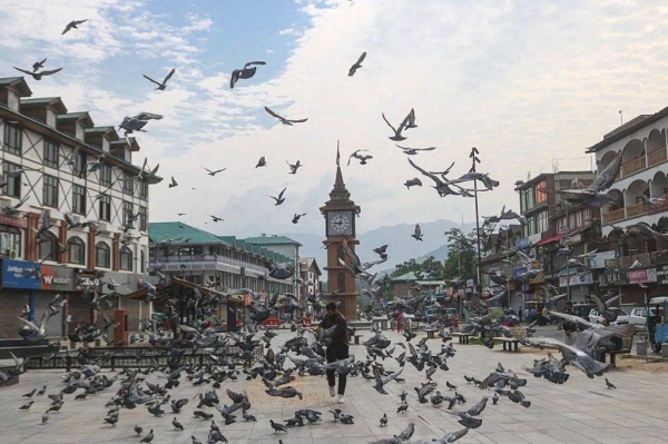 A man feeds pigeons in Srinagar in Indian-administered Kashmir