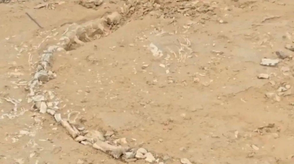The remains of a crocodile-like species were first spotted by some villagers last week