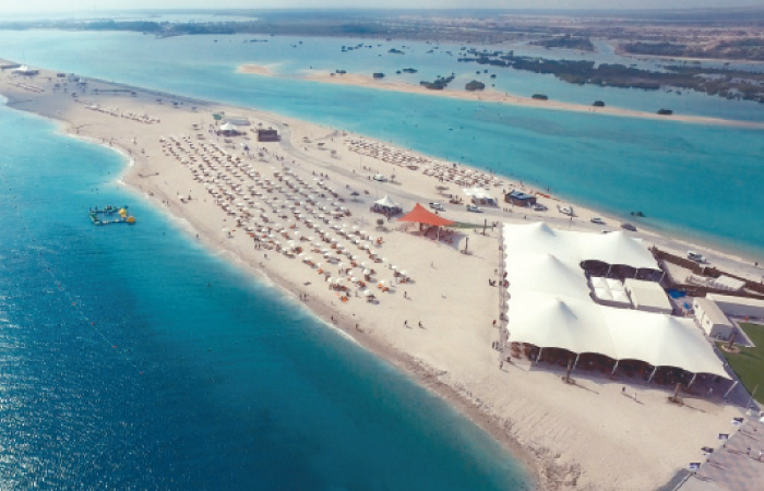 Sir Bani Yas Cruise Beach