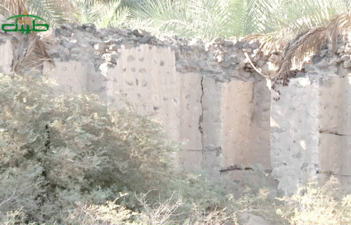 Bani Waqif Fort, a historic Madinah landmark, playing host to vandals and stray animals