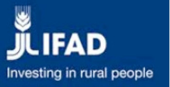 IFAD