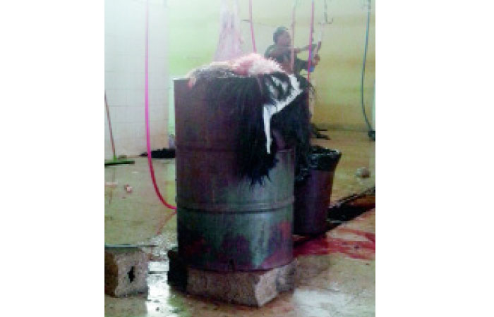 Unhygienic conditions in the abattoir have made people of Nabhaniya upset. — Okaz photo
