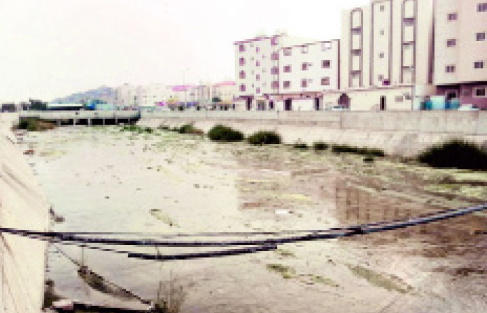 The swamp that has developed in one of Taif's neighborhood. — Okaz photo