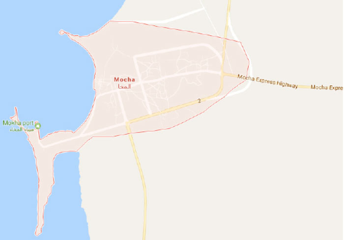 Yemen National Army seizes Red Sea coast city