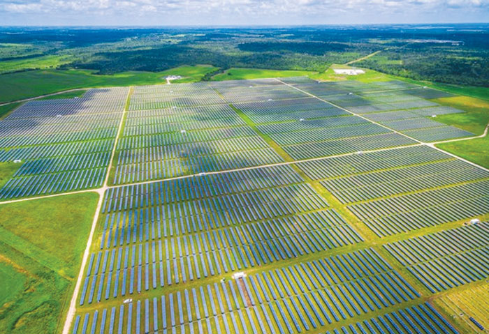 Solar farm