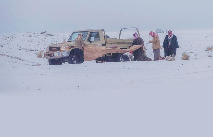 When it snows in the Saudi north