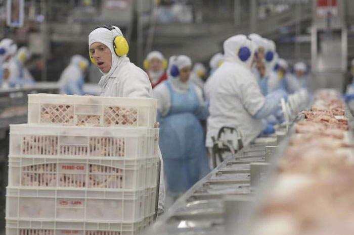 Workers prep poultry at the meatpacking company JBS, in Lapa, in the Brazilian state of Parana. — AP
