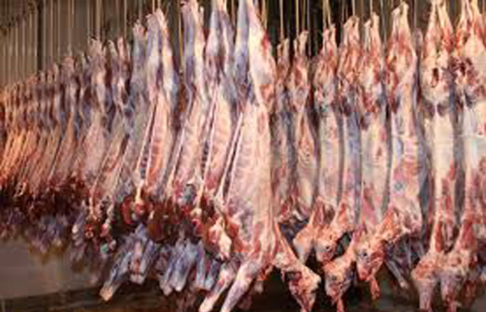 Unlicensed slaughterhouses, restaurant confiscated in Qatif