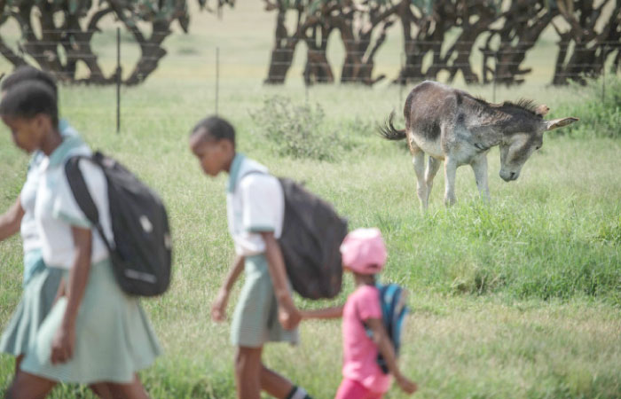 Children walk by a donkey grazing in Magosane village in the North West Province, South Africa, in this Feb. 9, 2017 file photo. — AFP