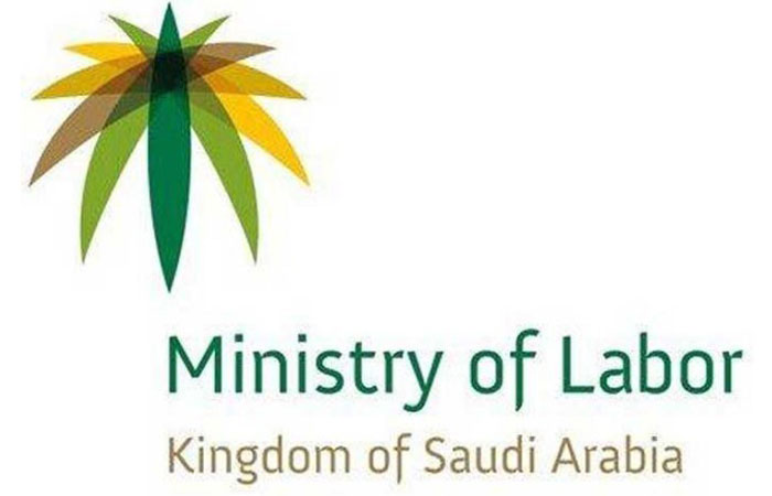 Ministry of Labor and Social Development