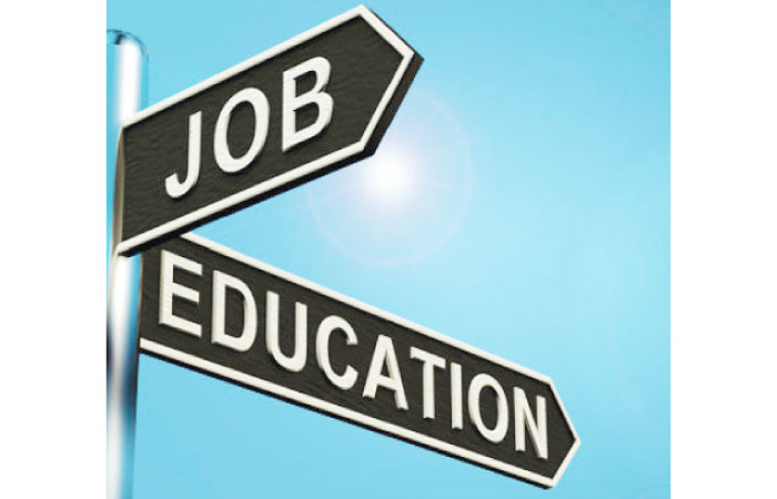 Experts, entrepreneurs call on linking education with careers