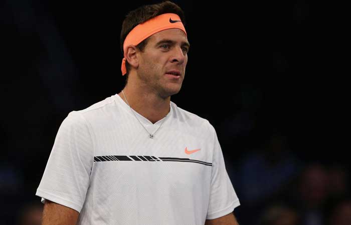 Martin del Potro