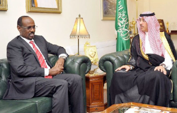 Al-Awwad meets with Djibouti’s minister