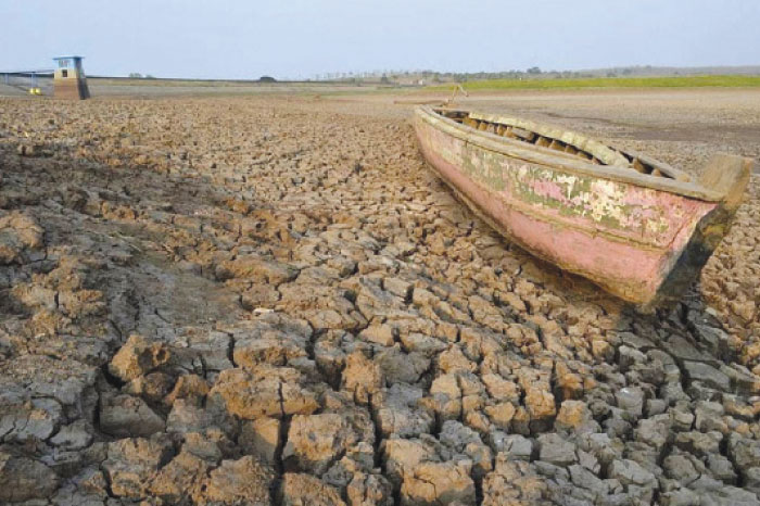 Risk of food shortages to rise with climate change