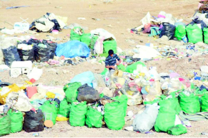 Illegal expatriates collect recyclables from the waste dump west of Mahayil Asir. — Okaz photo