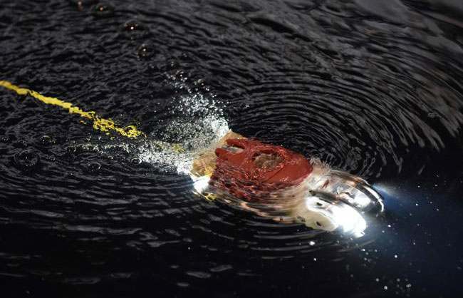 Swimming robot to probe damage at Japan nuclear plant