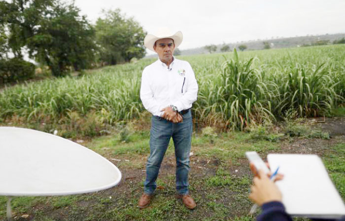 Pedro Ocampo, President of the Zacatepec sugar cane Union, speaks with journalists in a sugar cane field in Zacatepec de Hidalgo, in Morelos state, Mexico. - Reuters